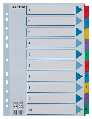 Esselte Register Mylar-ark A4 1-10